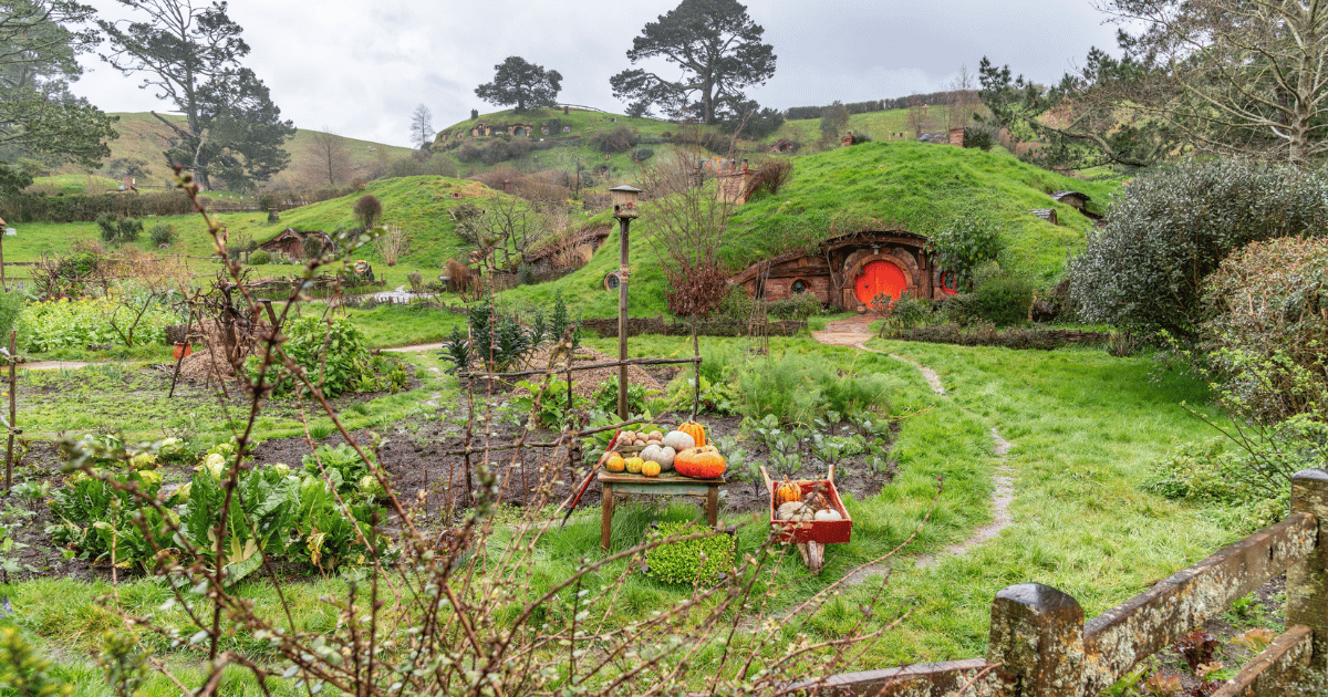 Hobbiton Movie Set Tour