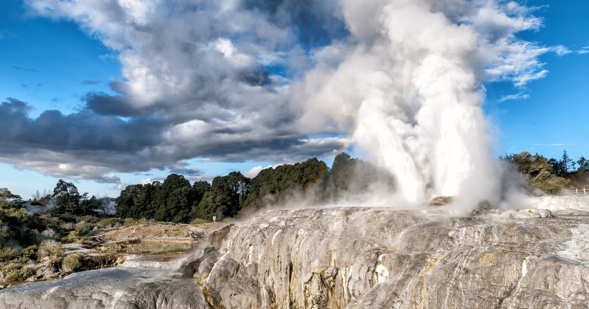 Te Puia Geyser & Cultural Experience (Rotorua)