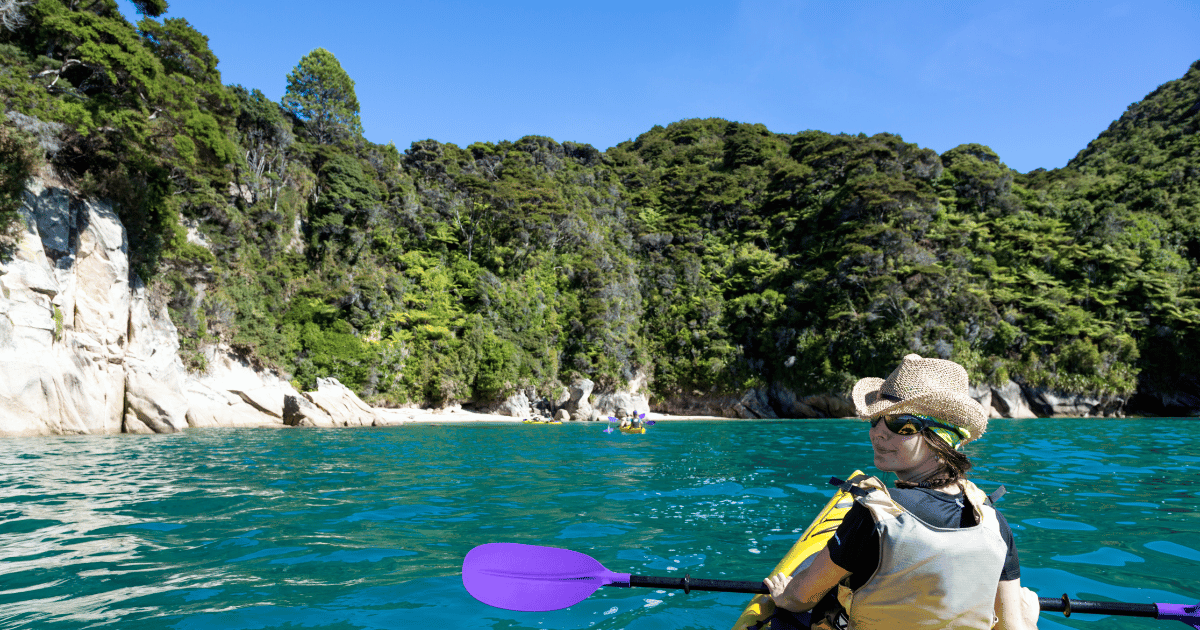 Abel Tasman Coastal Kayaking Adventure (Abel Tasman National Park)