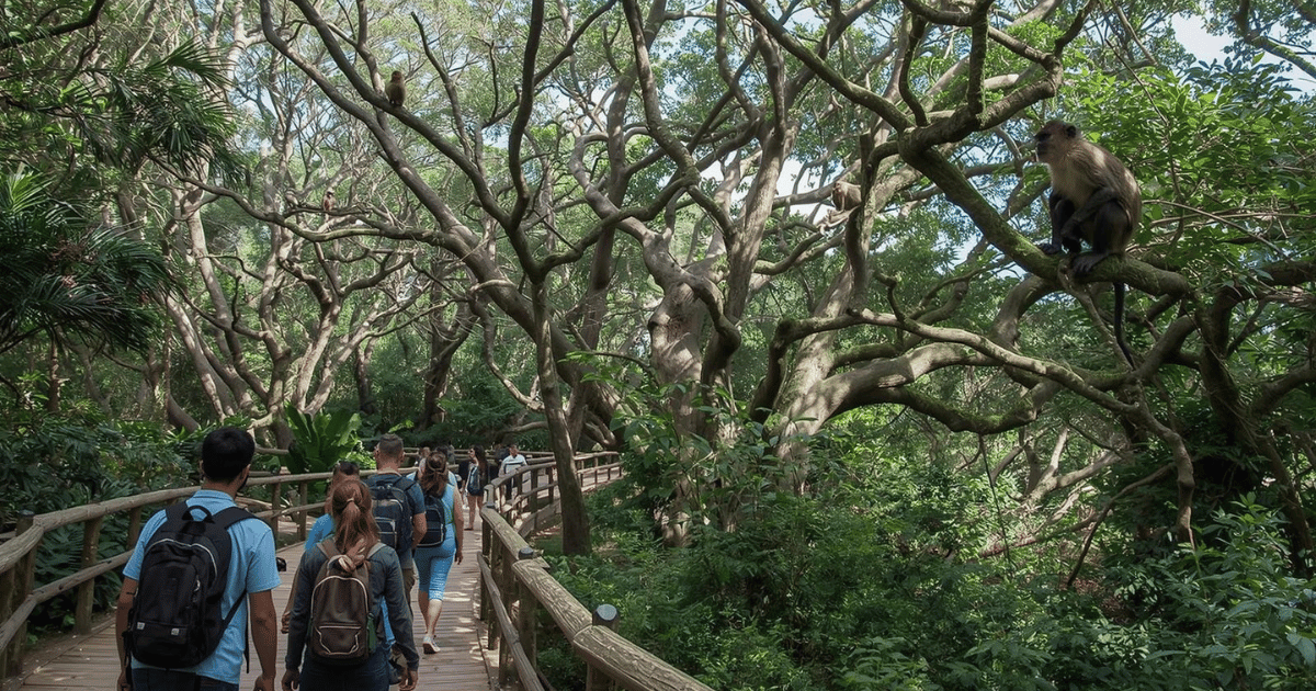 Monkeyland Primate Sanctuary Experience (Plettenberg Bay)