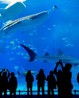 SEA LIFE London Aquarium