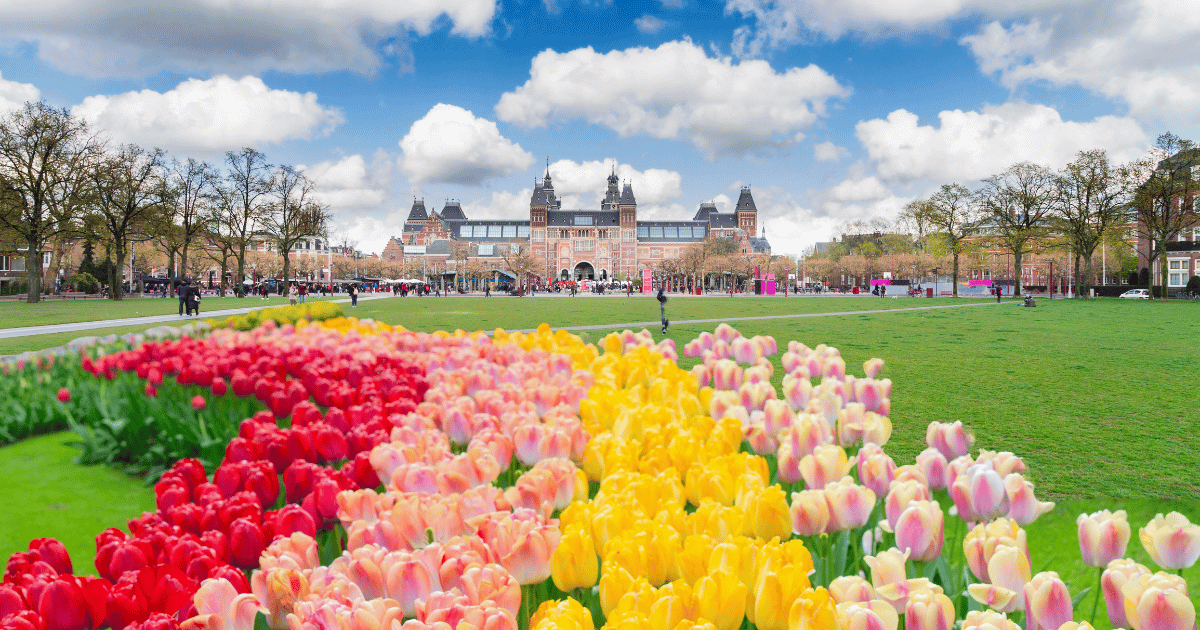 Rijksmuseum Skip-the-Line Tour (Amsterdam | 2–3 Hours | Morning/Afternoon)