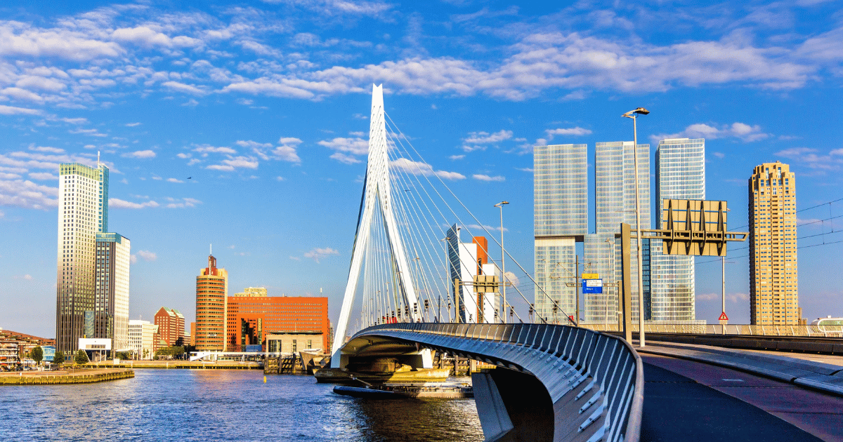Rotterdam Harbour Cruise & Architecture Tour (Rotterdam | Half-Day | Afternoon)