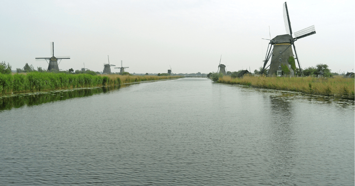 Kinderdijk Windmills Tour (Kinderdijk | Half-Day | Morning/Afternoon)