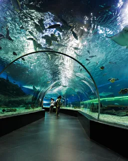 SEA LIFE Bangkok Ocean World