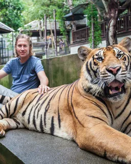 Tiger Kingdom Phuket