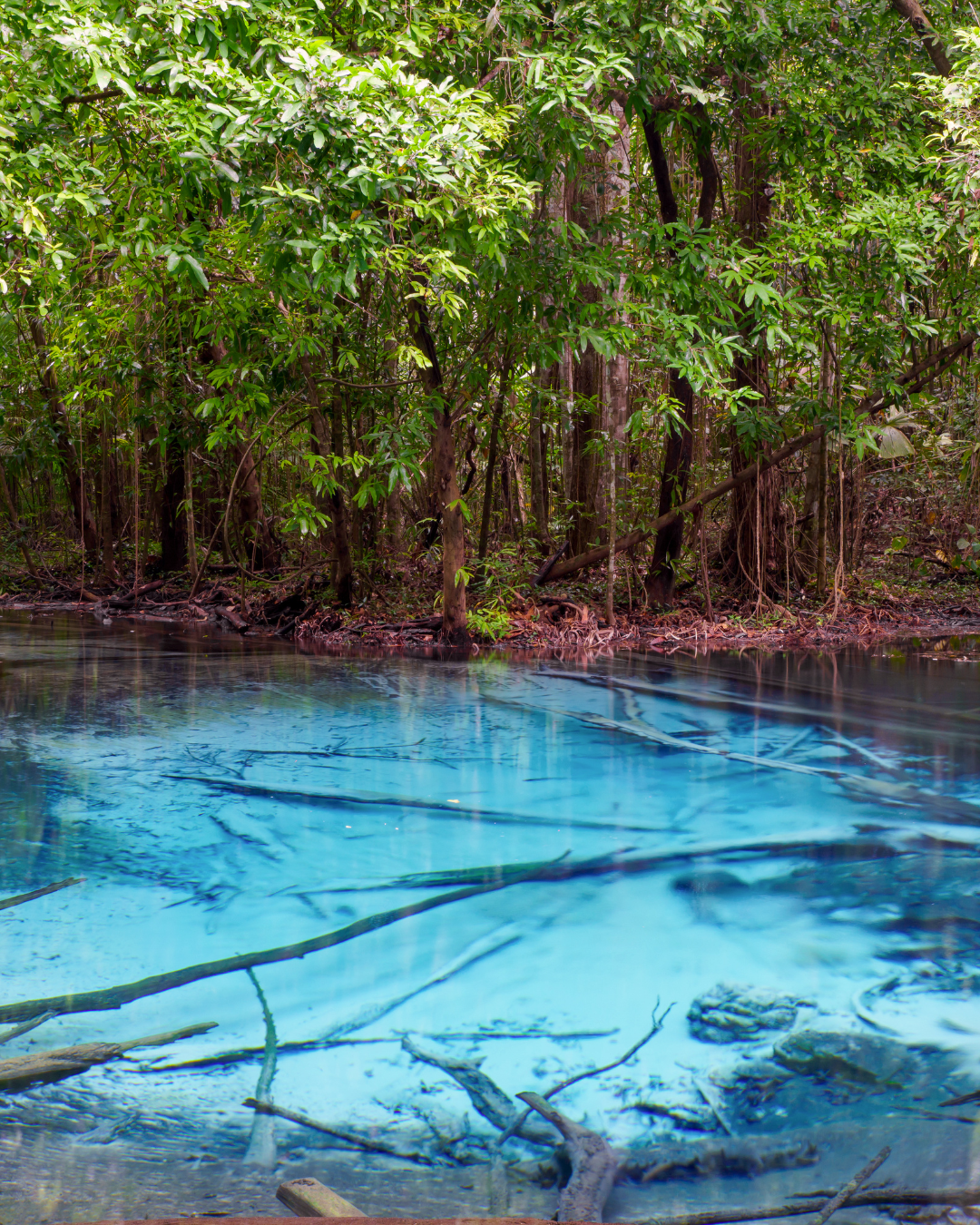 Krabi Emerald Pool + Hot Springs
