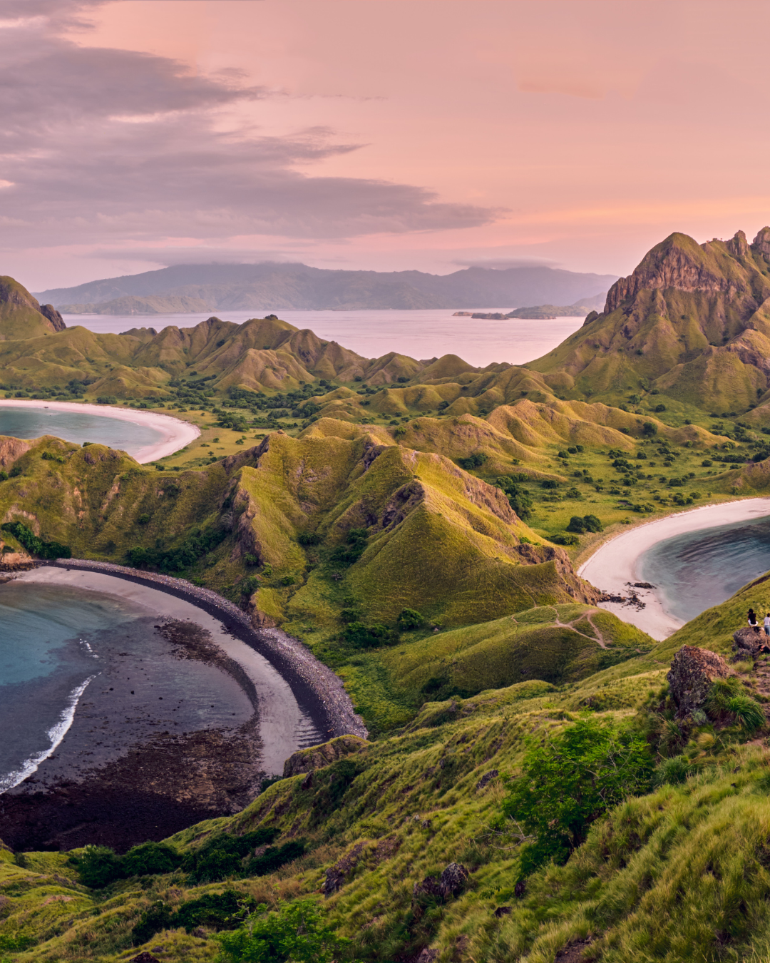 Komodo + Padar + Pink Beach Full-Day Trip – Starts from Labuan Bajo