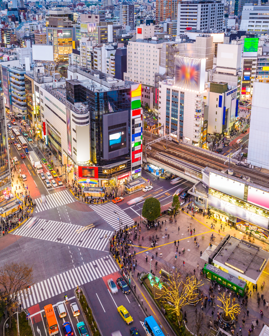 Tokyo City Tour (Half Day / Full Day)