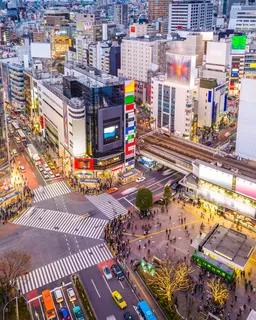 Tokyo City Tour (Half Day / Full Day)