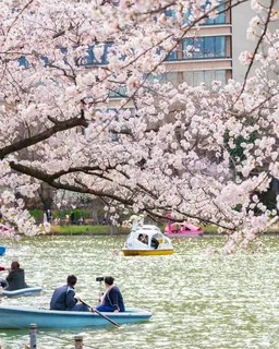 Tokyo – Ueno Park Cultural Walk