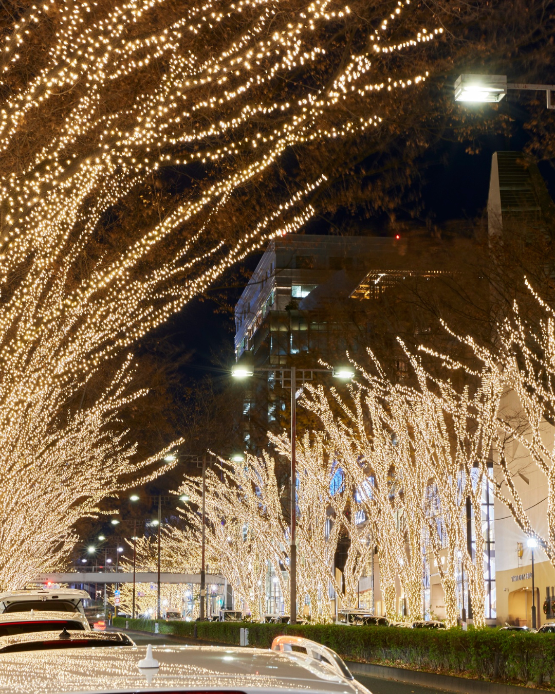 Nagoya – Nabana no Sato Winter Illuminations