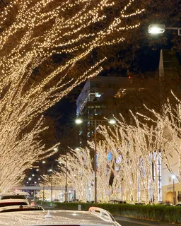 Nagoya – Nabana no Sato Winter Illuminations