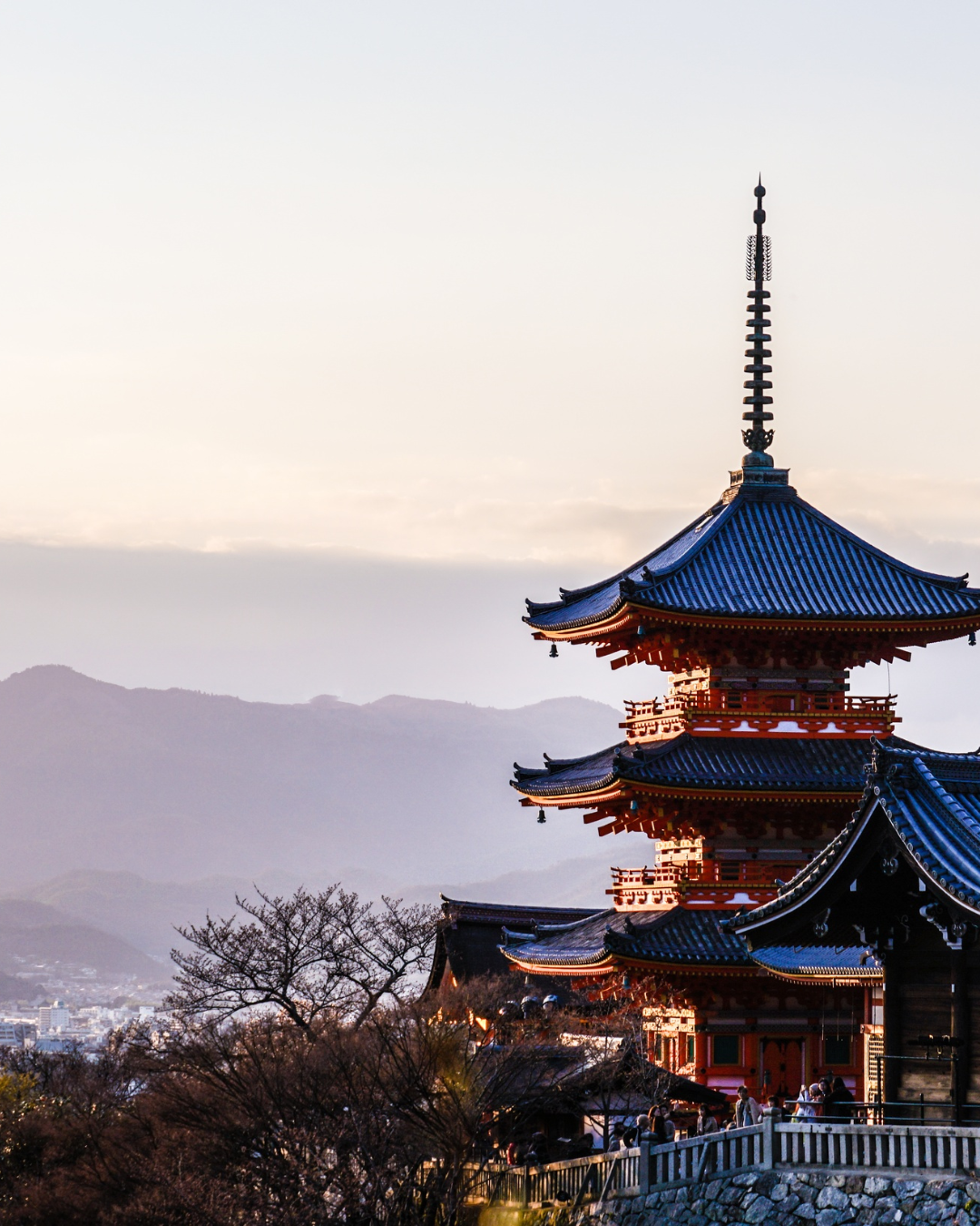 Kyoto City Tour (Half Day / Full Day)