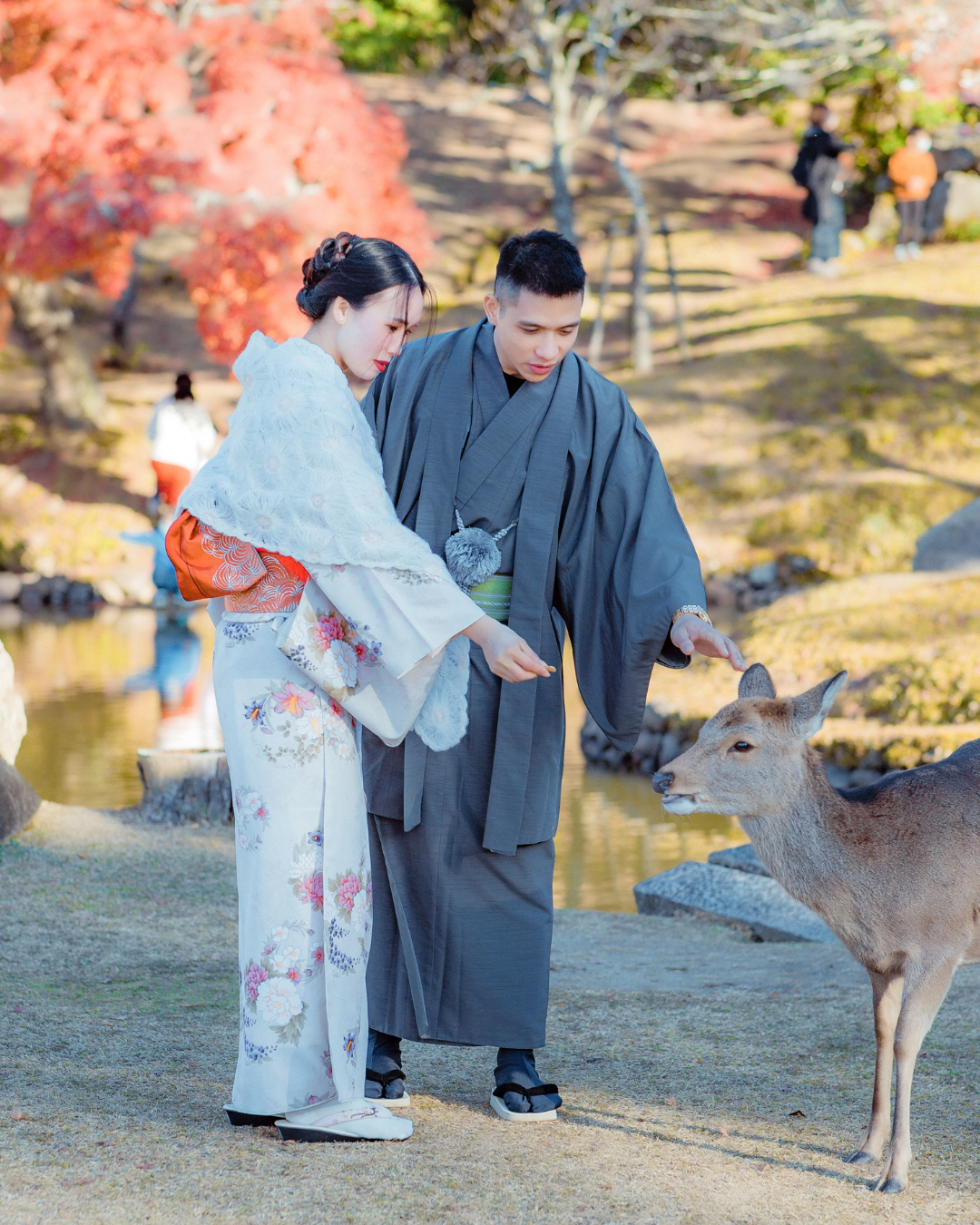 Nara Deer Park + Todaiji Temple Guided Tour (from Osaka/Kyoto)