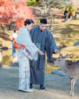 Nara Deer Park + Todaiji Temple Guided Tour (from Osaka/Kyoto)