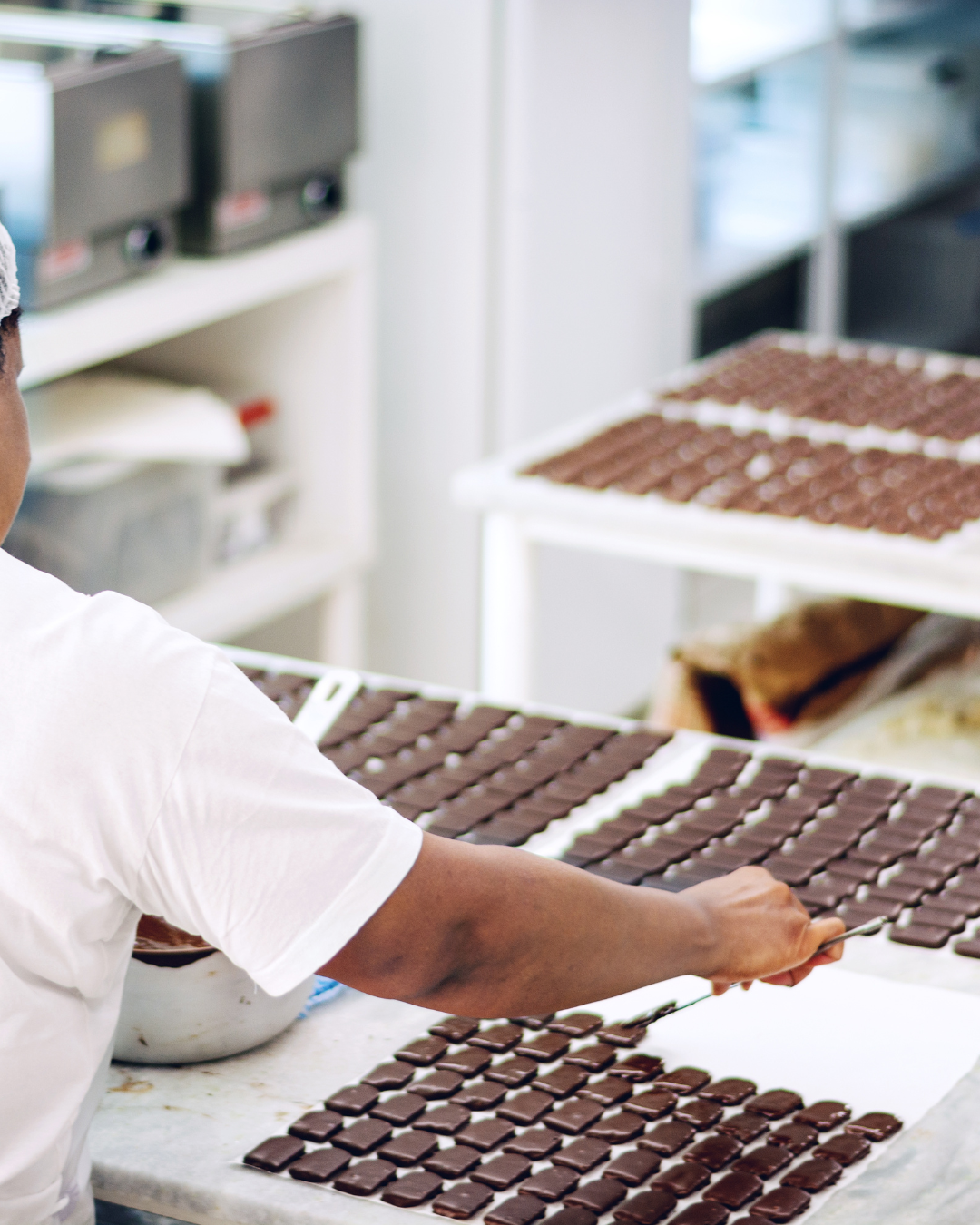 Shiroi Koibito Chocolate Factory Tour (Sapporo)