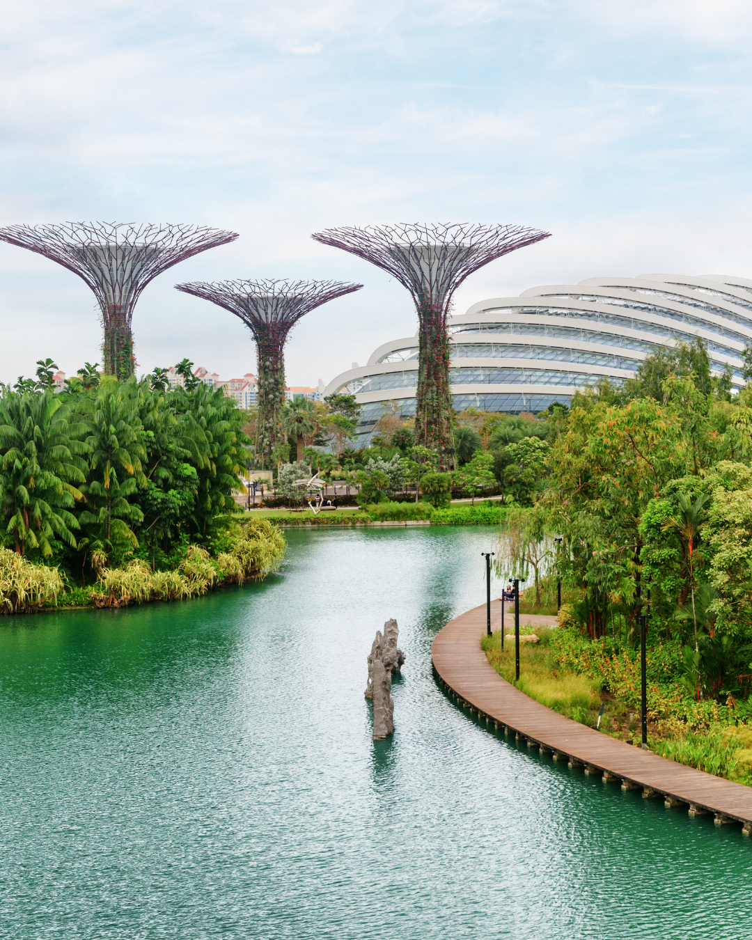 Gardens by the Bay – Cloud Forest & Flower Dome 