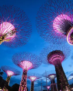 Supertree Observatory + Garden Rhapsody Light Show 