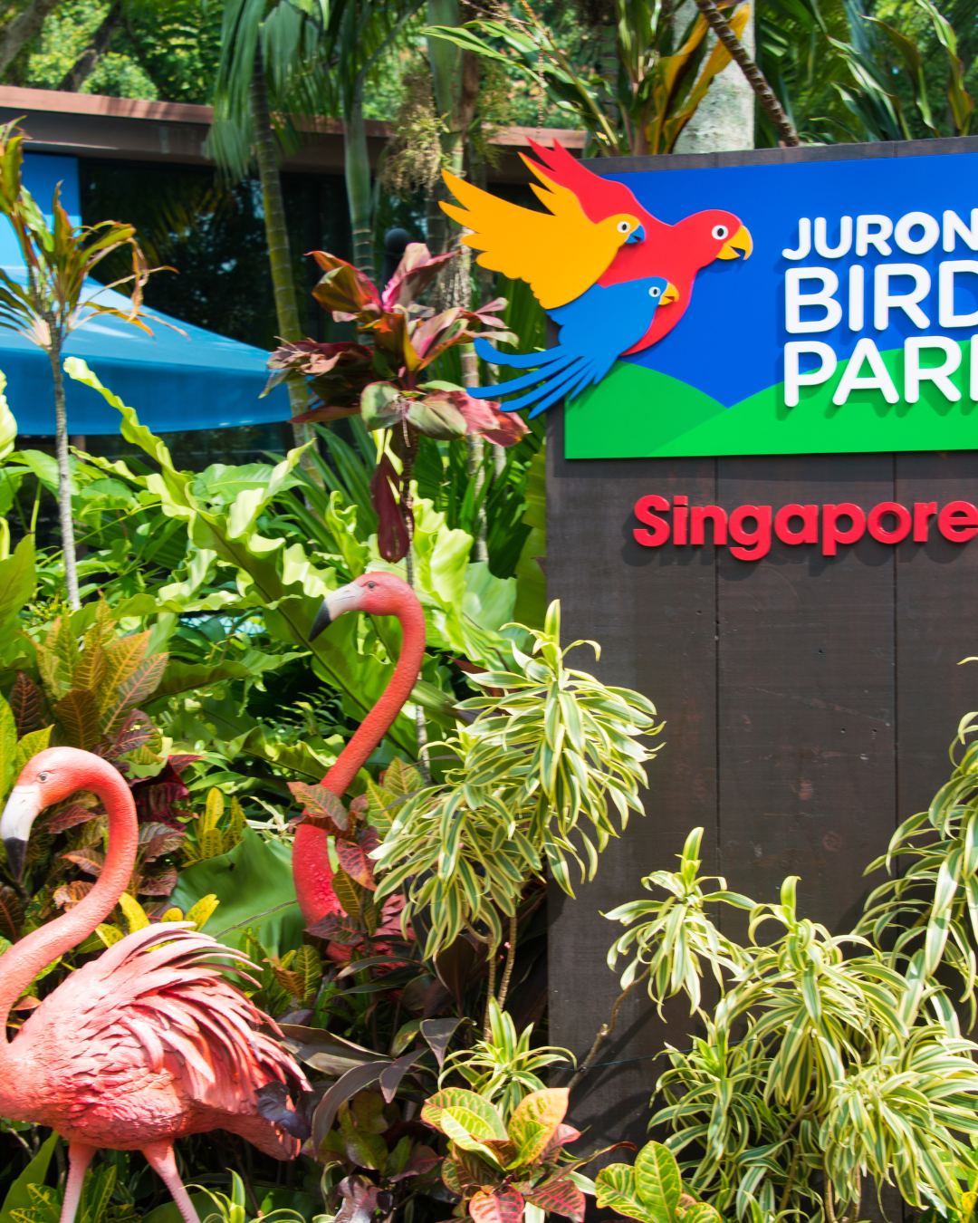 Jurong Bird Park 