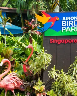 Jurong Bird Park 