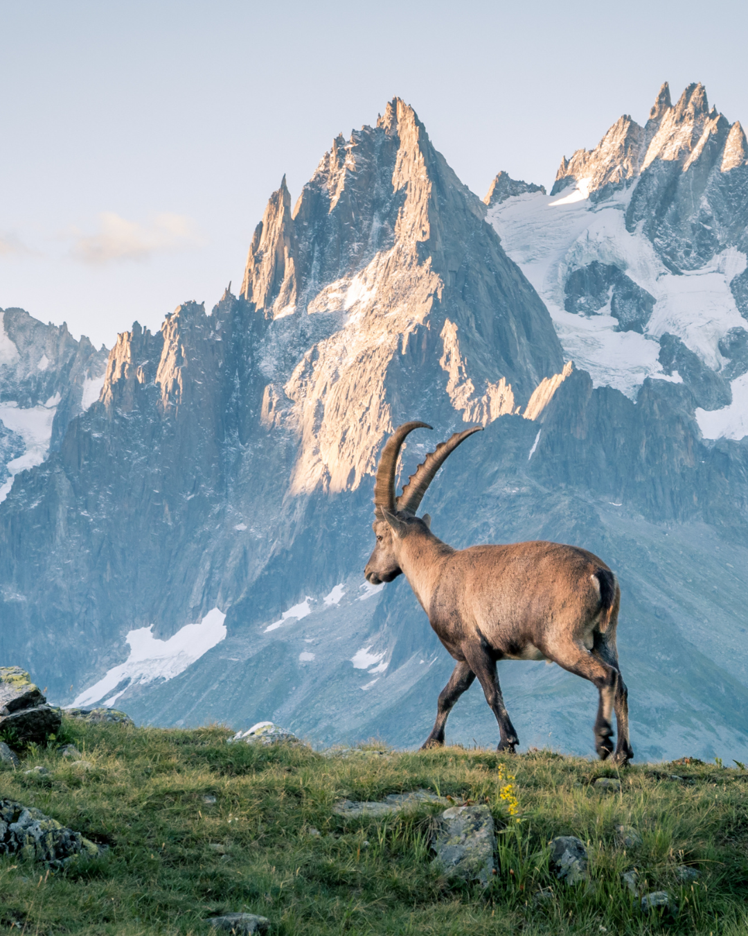 Alpine Zoo Innsbruck