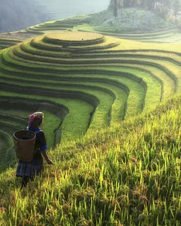 Sapa Village Trekking Experience