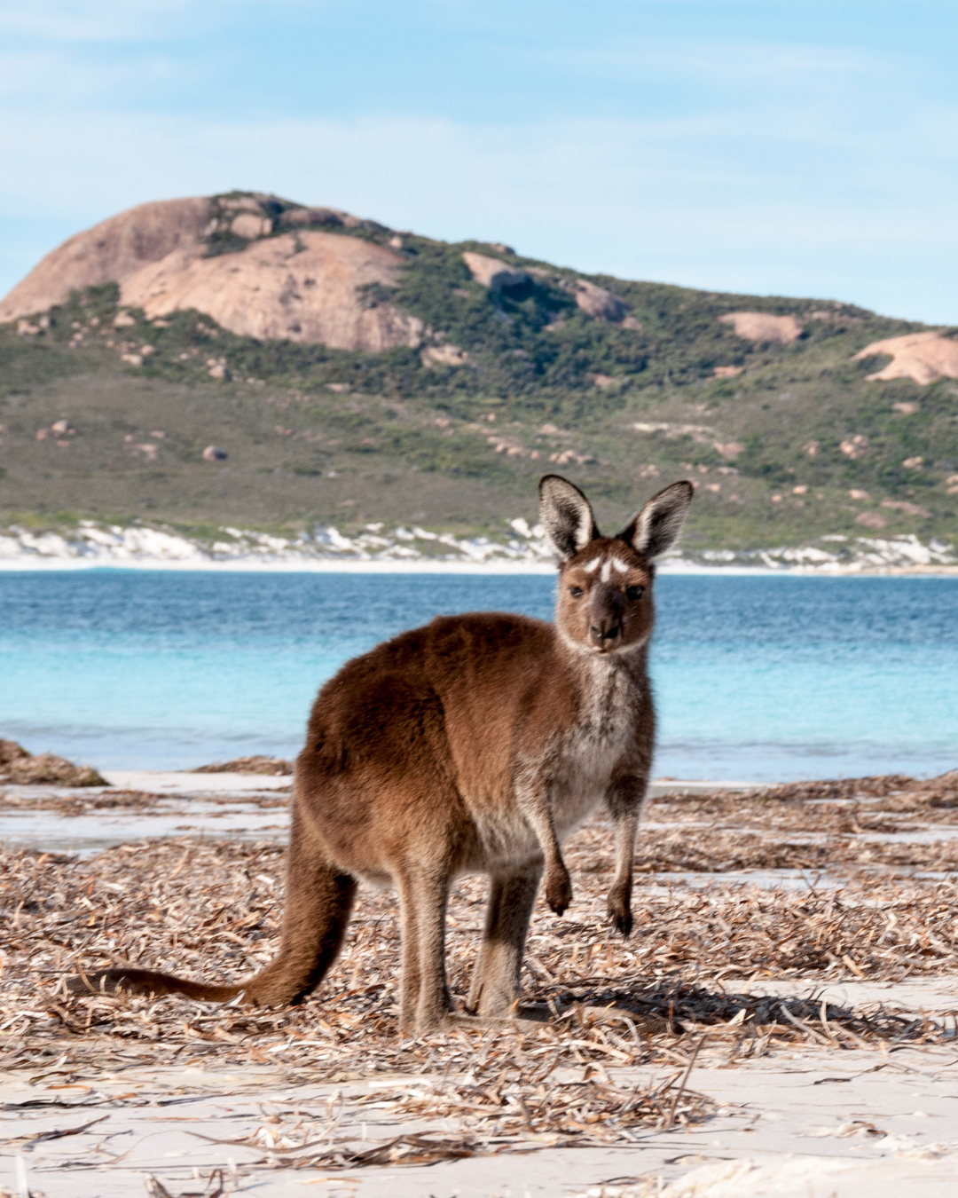 Kangaroo Island