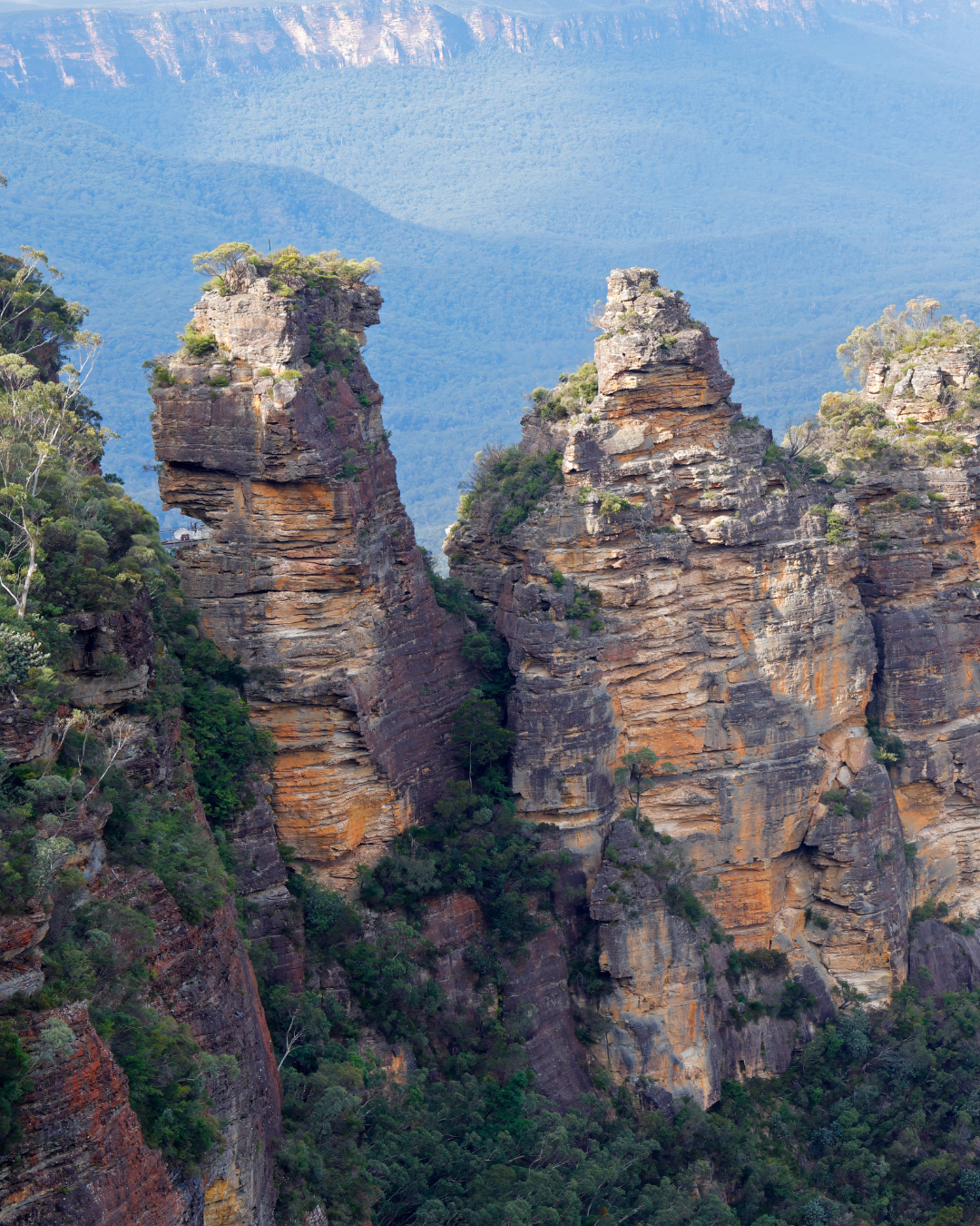 Blue Mountains & Scenic World Day Trip (Sydney)