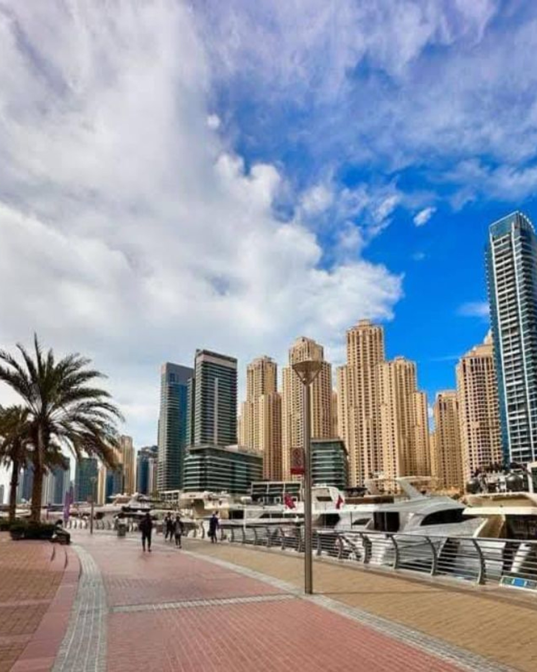 Melbourne Half-Day / Full-Day City Tour