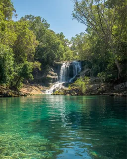 Litchfield National Park Tour (Darwin)