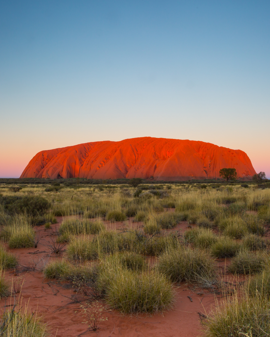 Uluru (Ayers Rock) Sunrise & Sunset Tour (Alice Springs)