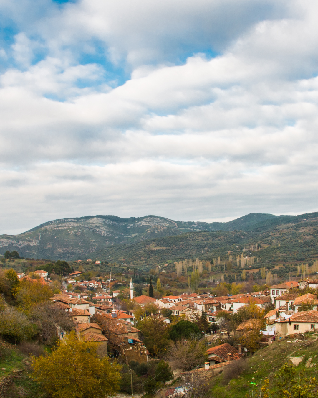 Sirince Village Wine & Culture Tour (Izmir)