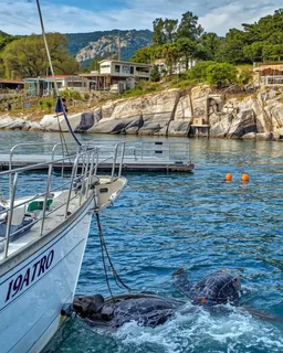 Dalyan River Cruise & Turtle Beach Tour (from Bodrum)