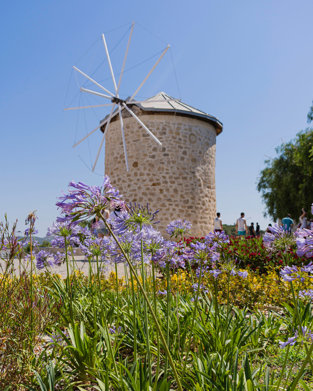 Alaçatı Windmill & Old Town Walking Tour