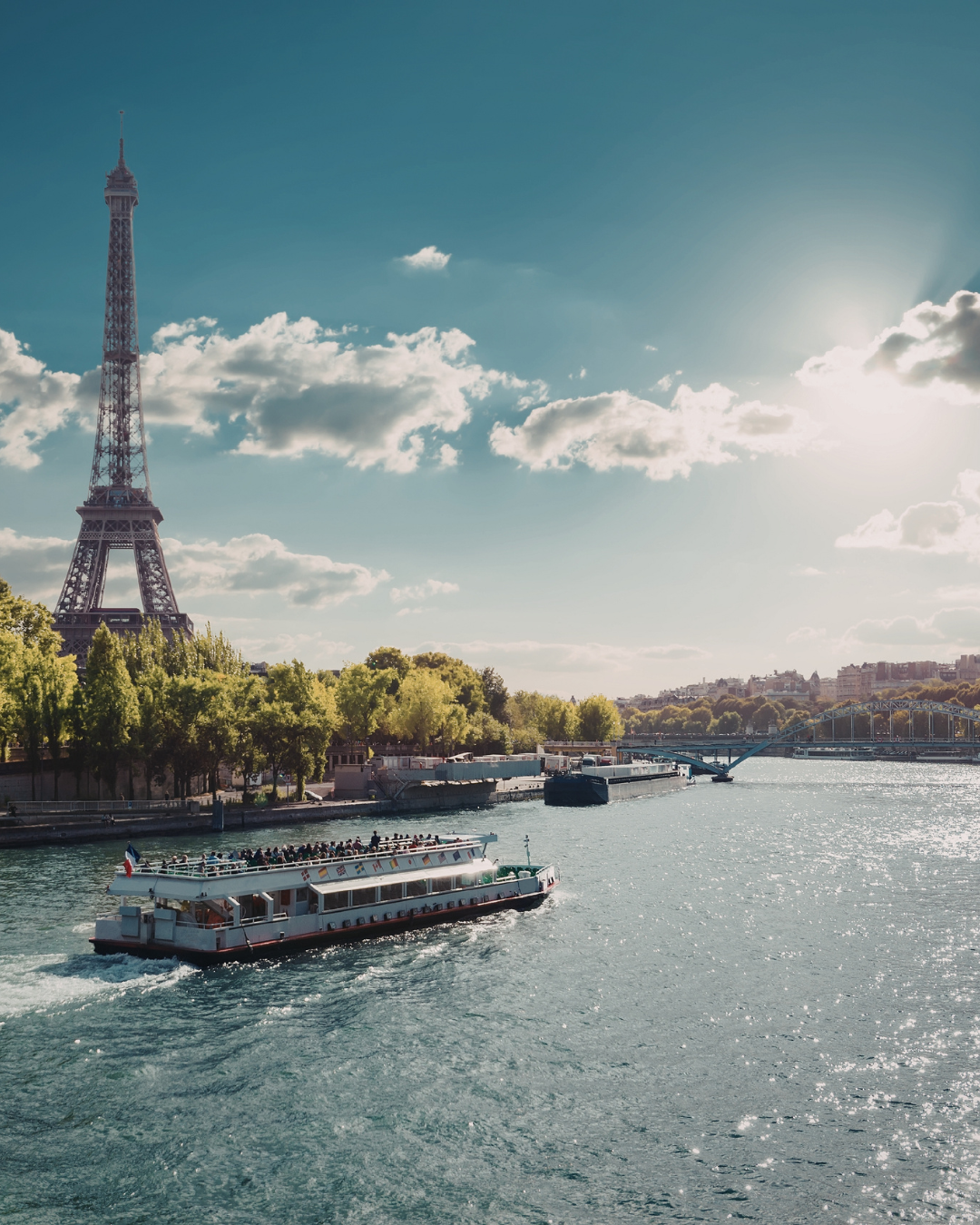 Seine River Cruise (Day or Evening)-Paris