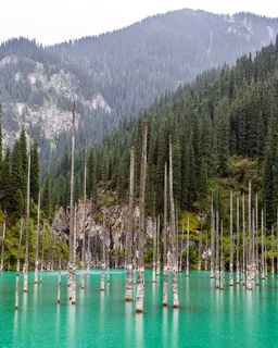 Kolsai & Kaindy Lakes Day Tour