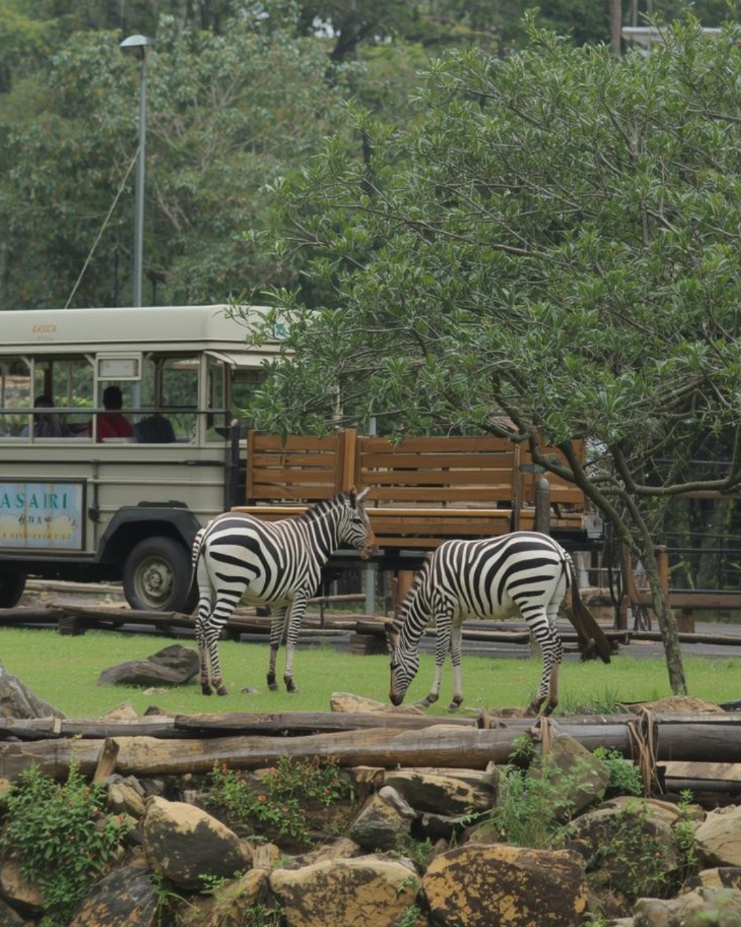 Bali Safari & Marine Park – Starts from Ubud/Kuta/Seminyak