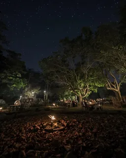 Bali Zoo Night Safari – Starts from Ubud/Kuta/Seminyak