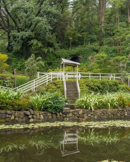Royal Botanical Garden Guided Tour (Kandy)