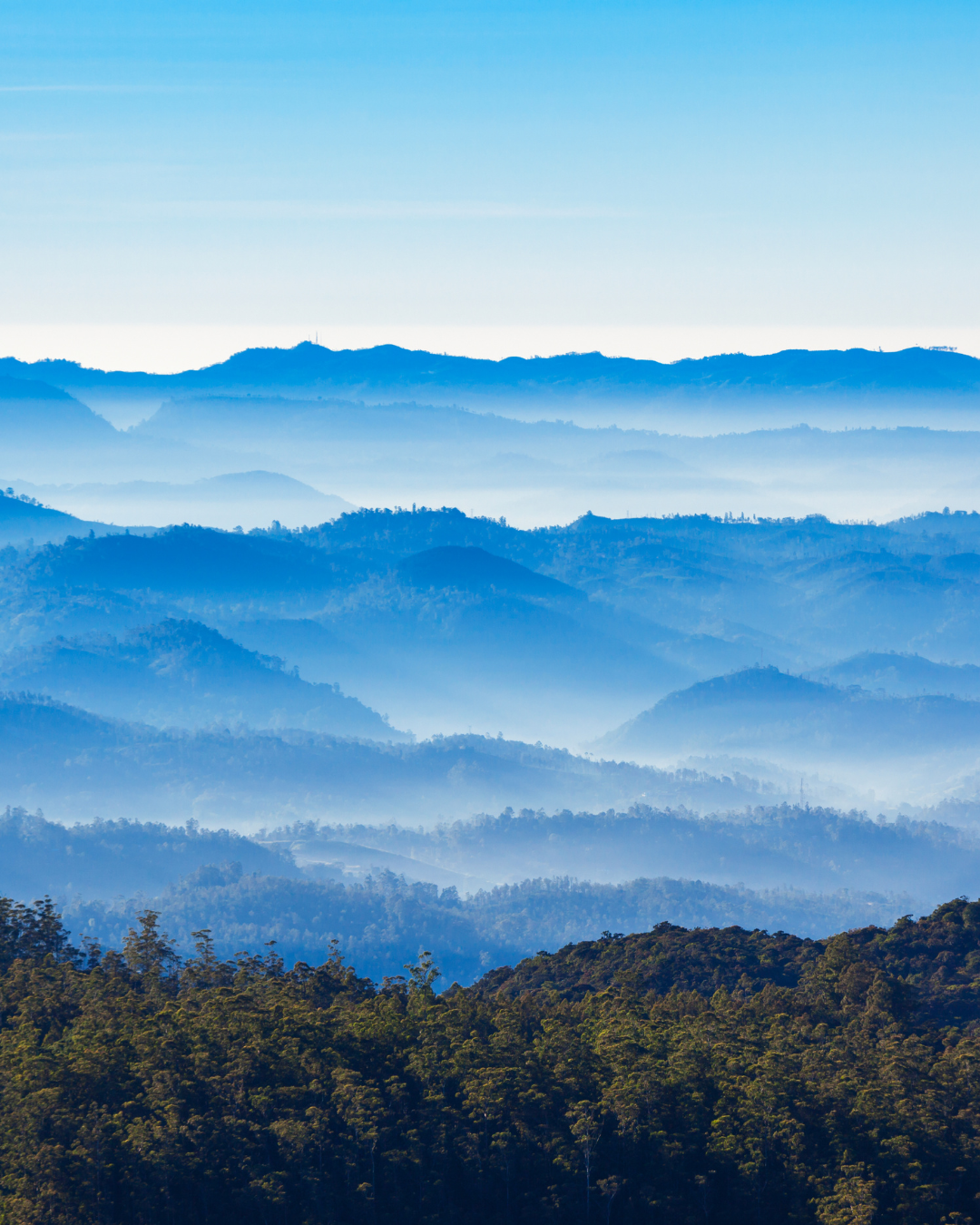 Horton Plains Trek & World’s End Viewpoint (Nuwara Eliya)