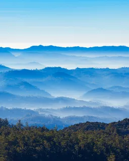 Horton Plains Trek & World’s End Viewpoint (Nuwara Eliya)