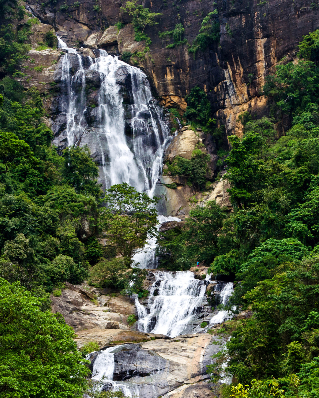 Ravana Falls + Spice Garden Guided Visit (Ella)