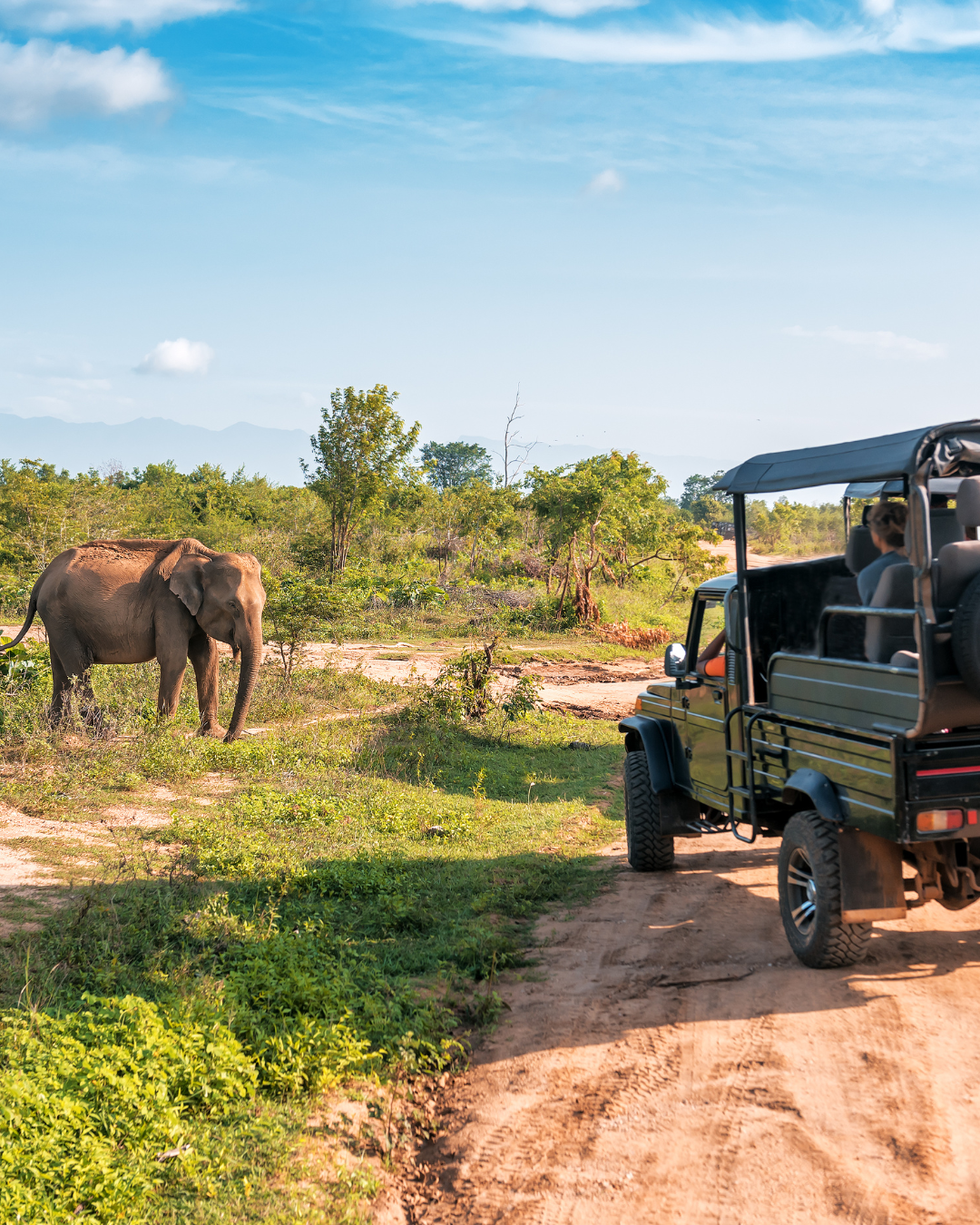 Kumana National Park Safari (near Arugam Bay)