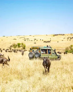 Maasai Mara Safari (South Kenya)