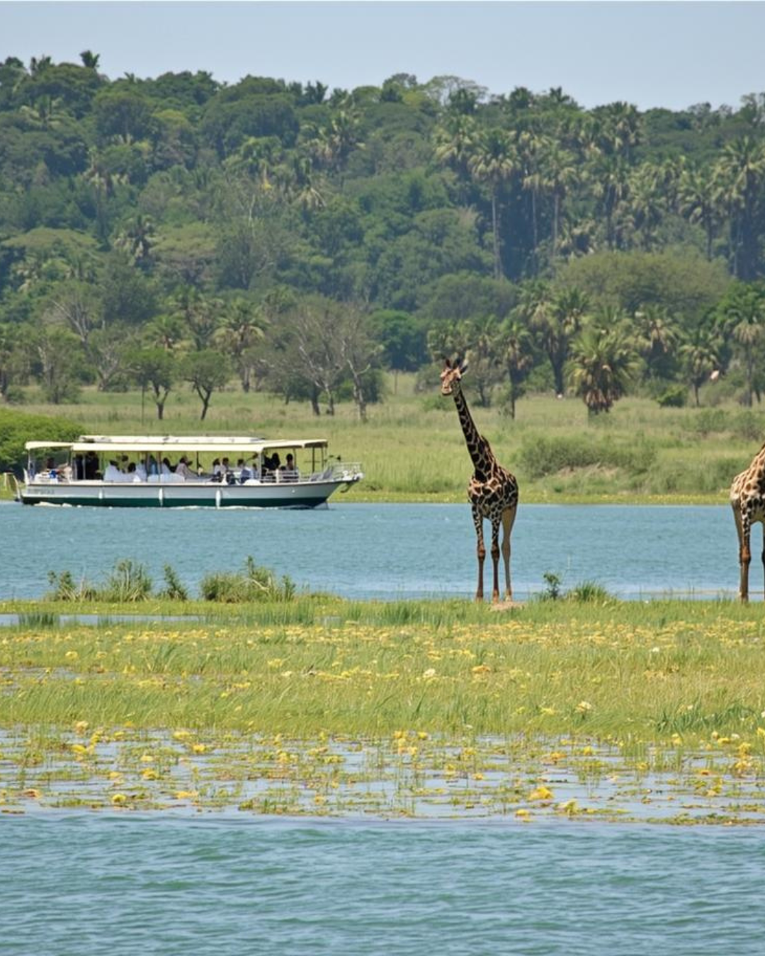 Lake Naivasha & Crescent Island Tour (Central Kenya)