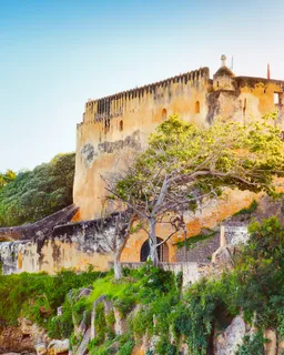 Mombasa City & Old Town Tour (East Kenya)