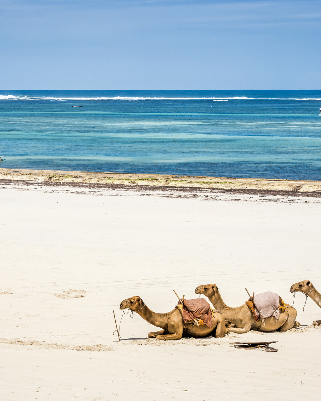 Diani Beach Adventure (East Kenya)