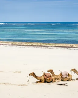 Diani Beach Adventure (East Kenya)