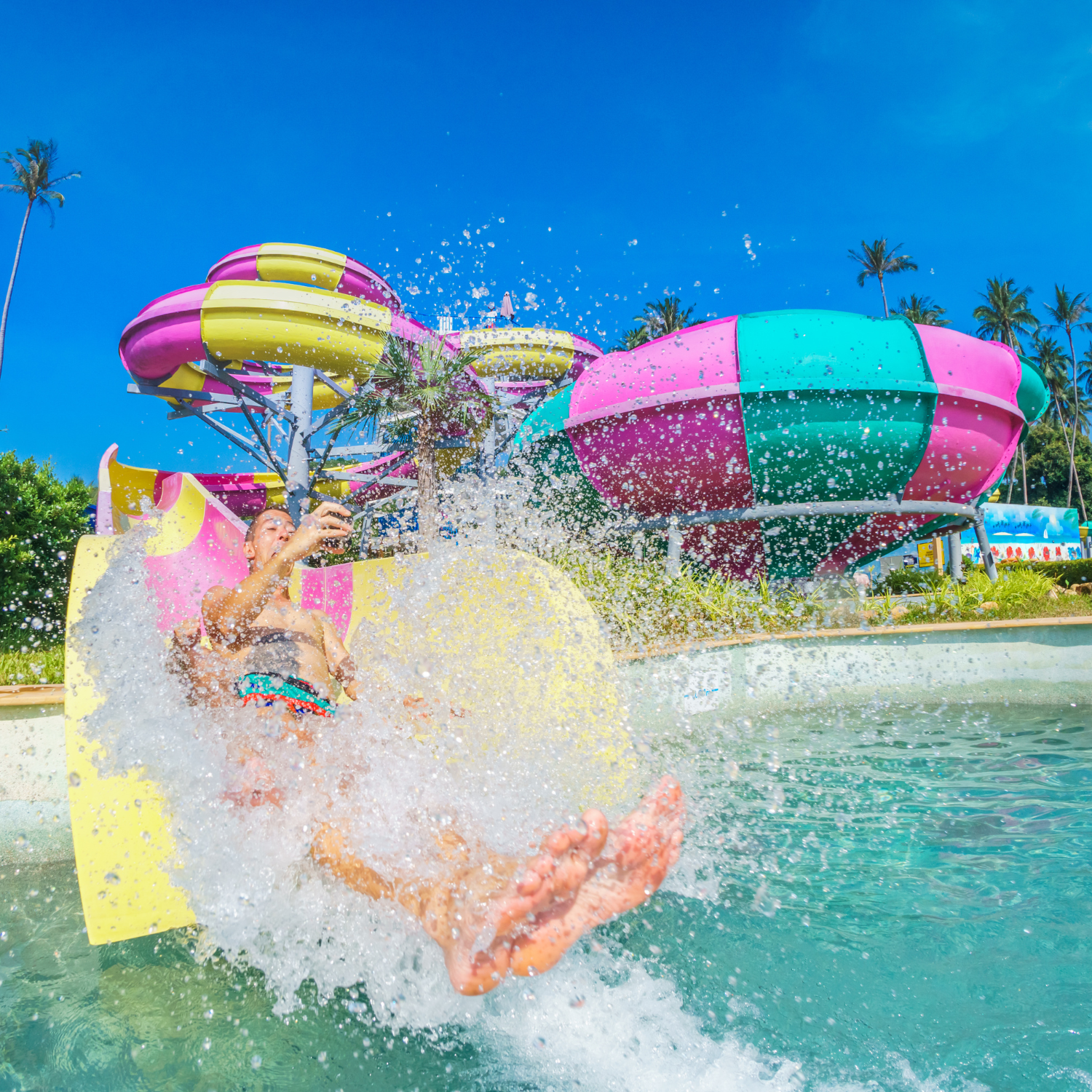 Adventure Cove Waterpark